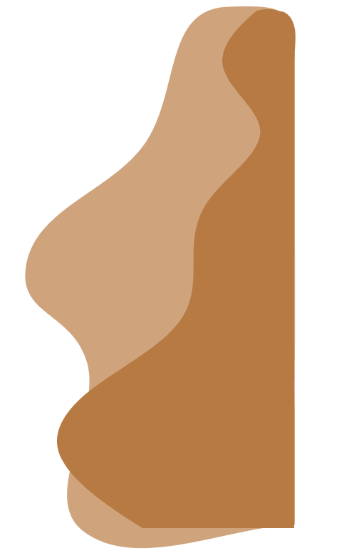 Vector Accent
