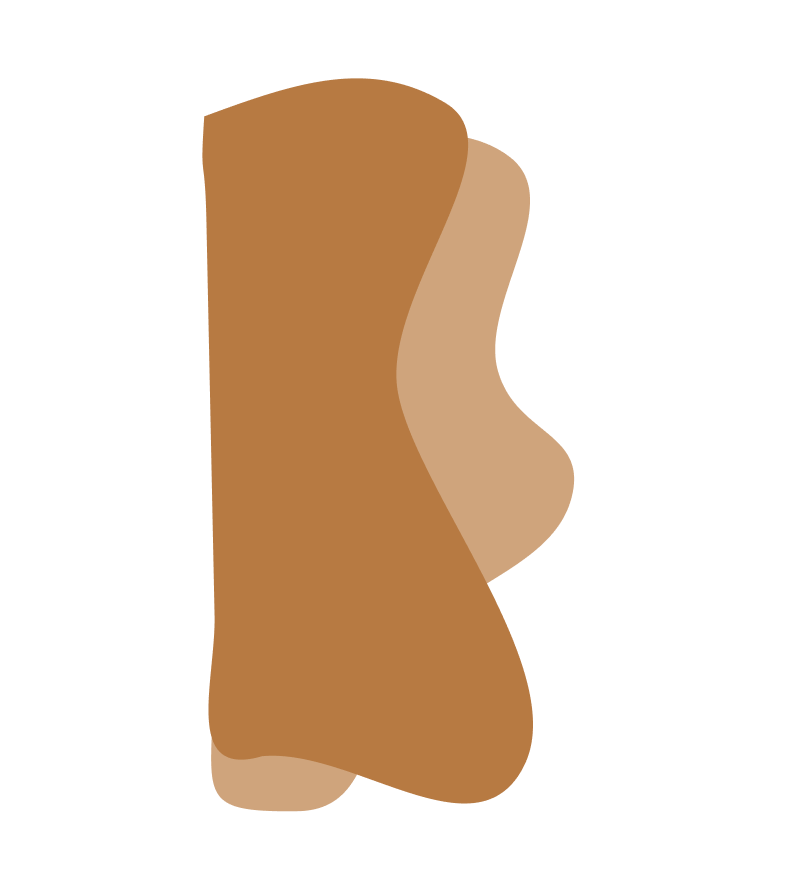 Vector Accent